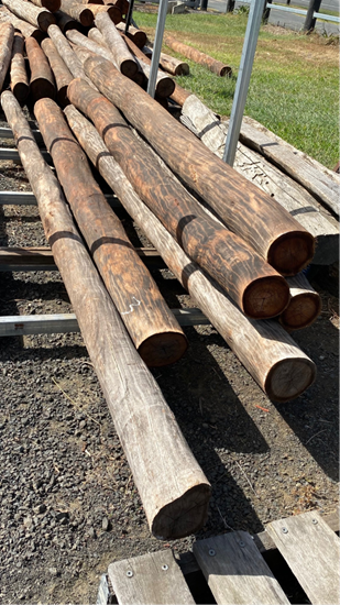 ITS IRONBARK TIMBER POST STAYS 3M 150MM - 10FT – Sprenger's Rural Traders