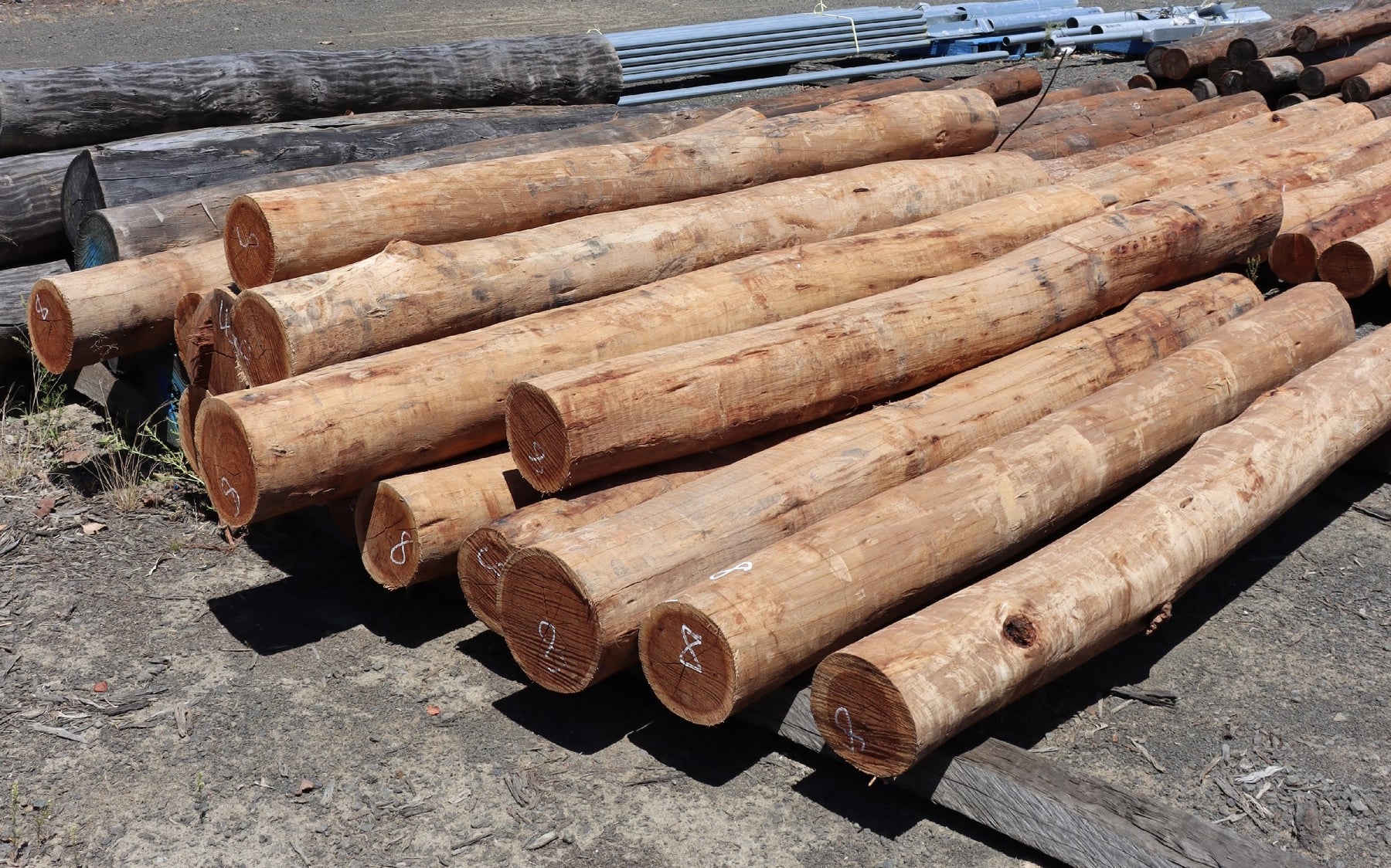 Tree Timber Post RURAL FENCING – Tagged