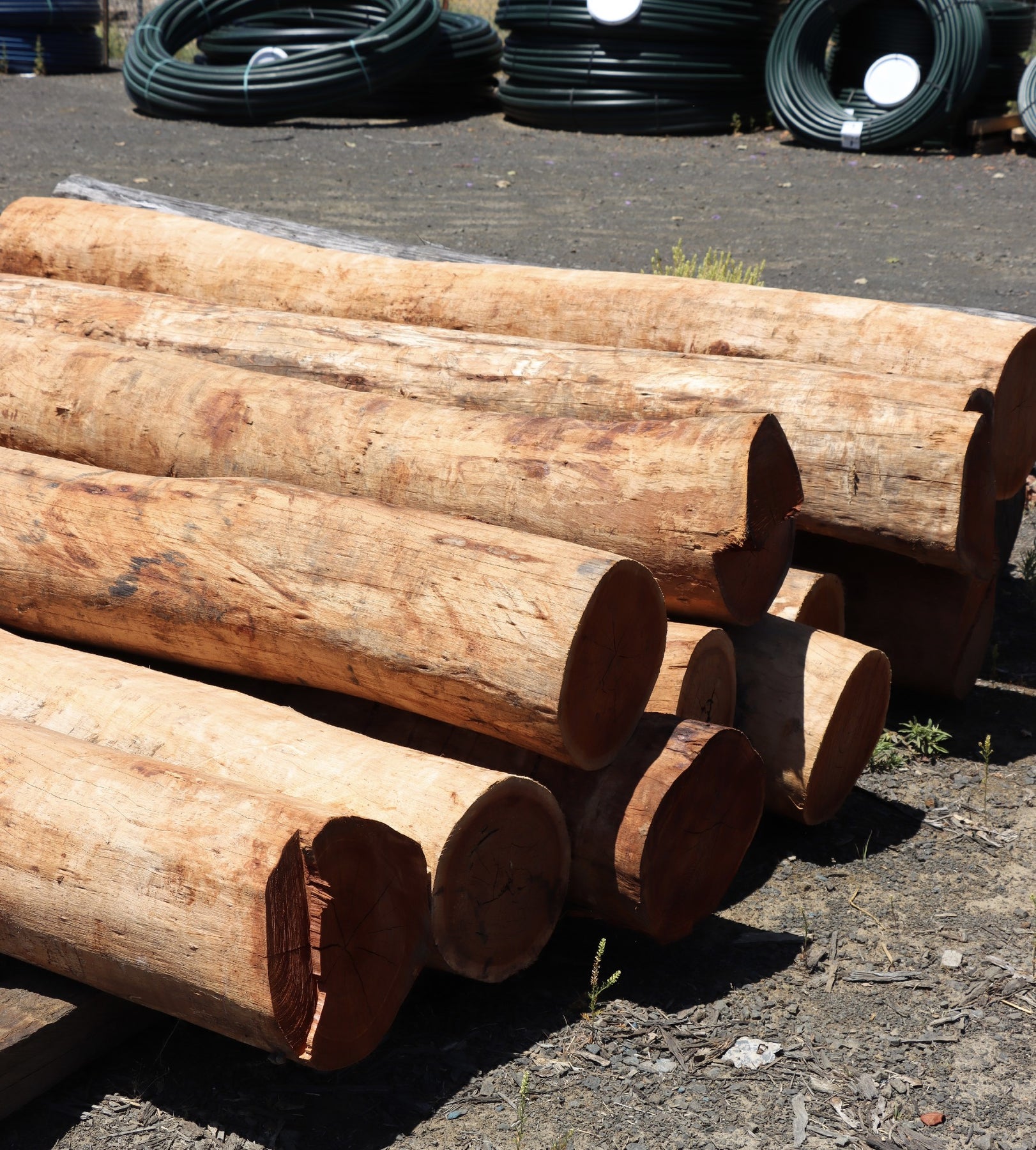 Tree Timber Post RURAL FENCING – Tagged